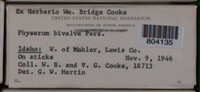 Image Associated With the Occurence